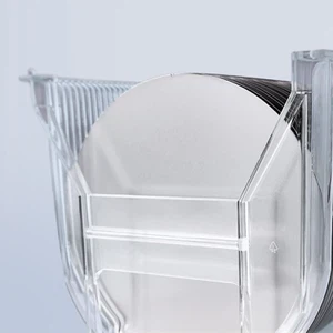 Hòstia de carbur de silici